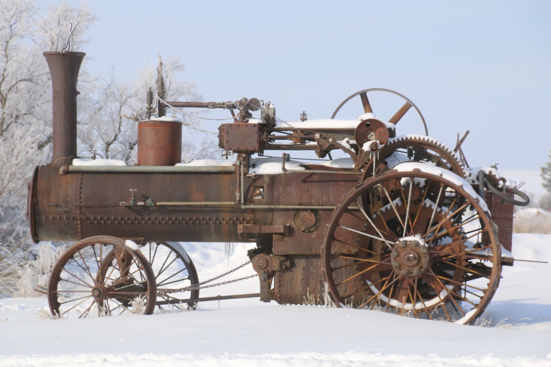 An Old Timer in the Snow